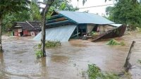 Penanganan Korban Bencana Banjir Bandang Luwu Sulsel, WALHI Minta Kelompok Rentan Diprioritaskan