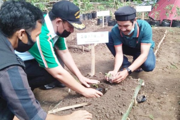 Manfaatkan Lahan Sempit, Wabup Takalar Tanam Perdana Bersama Komunitas Takalar Berkebun