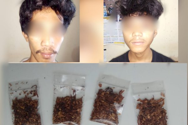 Simpan Tembakau Sintetis, Dua Buruh Bangunan di Makassar Ditangkap Polisi