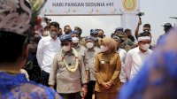 HPS ke 41, FAO Apresiasi Capaian Pembagunan Pertanian di Masa Covid 19