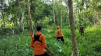 Lansia di Bone Sulsel Dikabarkan Hilang di Hutan saat Mencari Kayu, Tim Sar Gabungan Lakukan Pencarian 