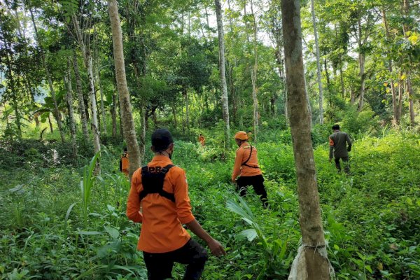 Lansia di Bone Sulsel Dikabarkan Hilang di Hutan saat Mencari Kayu, Tim Sar Gabungan Lakukan Pencarian 