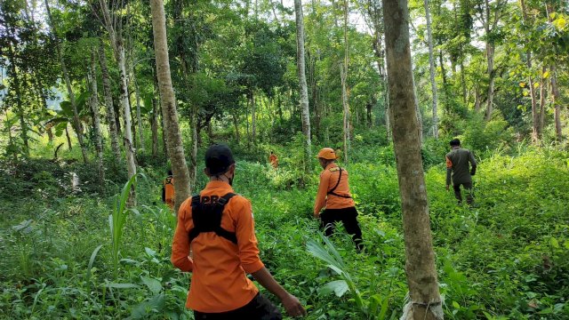 Lansia di Bone Sulsel Dikabarkan Hilang di Hutan saat Mencari Kayu, Tim Sar Gabungan Lakukan Pencarian 