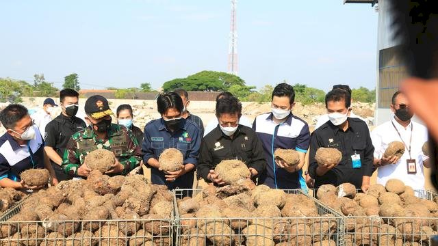 Menteri Pertanian Dorong Beras Porang Shirataki Madiun Bersaing di Pasar Global