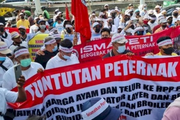 Protes Harga Ayam Anjlok, Peternak Jabar Gelar Aksi Damai di Depan Kementan