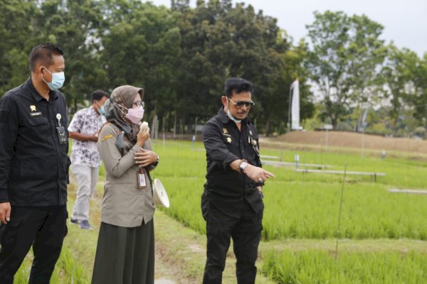 Mentan Syahrul Ingatkan Pentingnya Adaptasi dan Mitigasi Perubahan Iklim