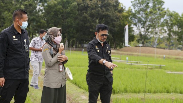 Mentan Syahrul Ingatkan Pentingnya Adaptasi dan Mitigasi Perubahan Iklim