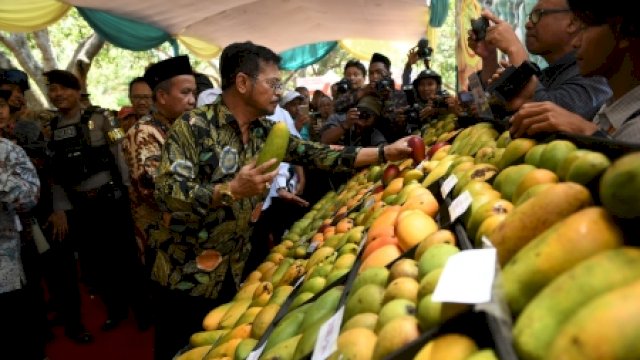 Kementan Dukung Perluasan Akses Pasar Internasional Ekspor Buah&nbsp;