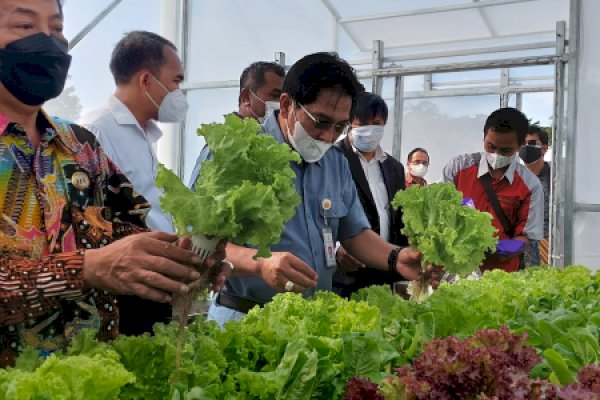 Kementan Kerja Sama UGM Kembangkan Pertanian Modern