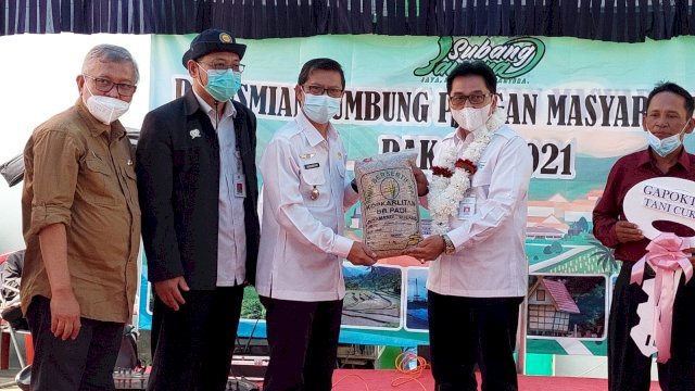 Turunkan Stunting, Kementan Dorong Kelompok LPM Tanam Padi Kaya Zinc