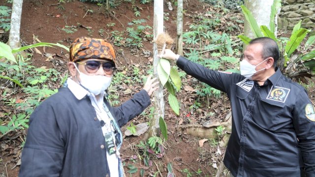 Mentan Syahrul Dorong Hutan Menjadi Lahan Agrowisata Gandeng Pemangku Adat