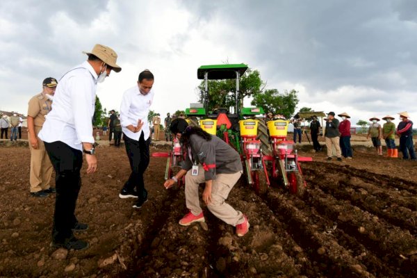 Tanam Jagung di Jenoponto, Presiden Jokowi Tegaskan Kebutuhan Nasional Bisa Dipenuhi Petani Lokal