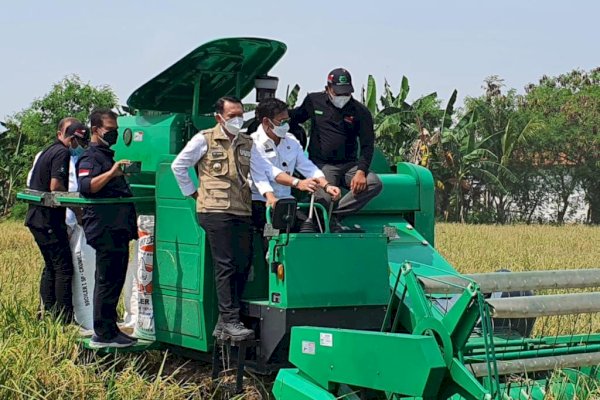 Mentan SYL Cek Persawahan di Jabar, Pastikan Panen Terus Berlangsung