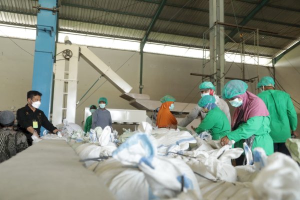 Mentan SYL Pantau Langsung Produksi Padi Kabupaten Sragen