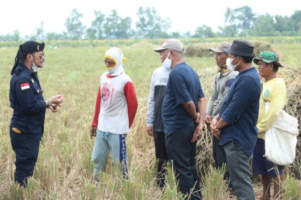 Mentan Dorong Kabupaten Karawang Jadi Percontohan Tiga Kali Panen