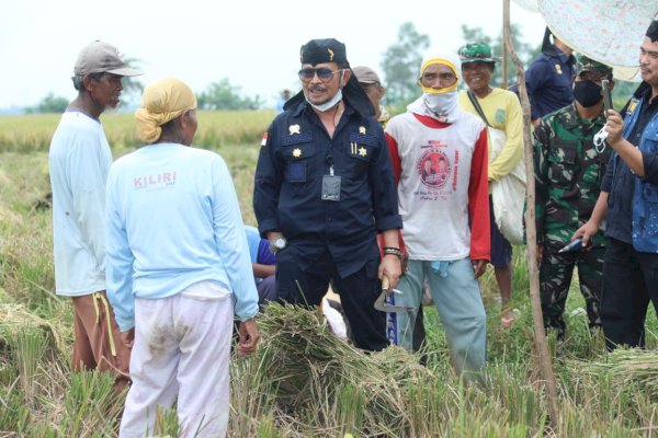 Mentan Syahrul Dorong Kabupaten Karawang Jadi Percontohan Tiga Kali Panen