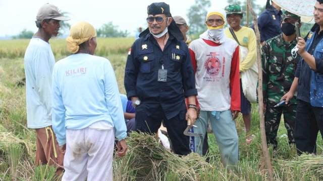 Mentan Syahrul Dorong Kabupaten Karawang Jadi Percontohan Tiga Kali Panen