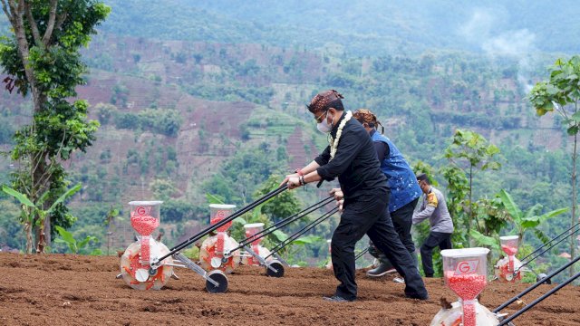 Mentan Syahrul Ajak Pemimpin Daerah Maksimalkan Lahan Pertanian