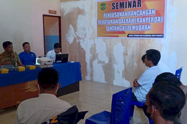 Dispora – KNPI Palopo Gelar Seminar Penyusunan Ranperda Kepemudaan