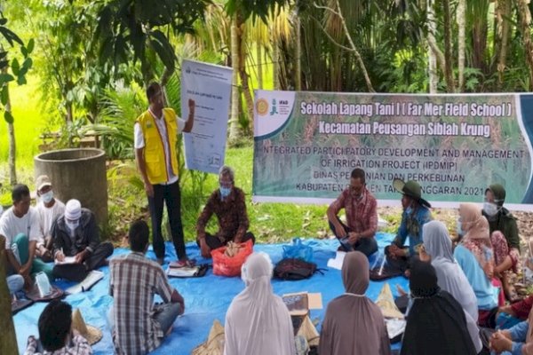 Banyak Pengetahuan dalam Sekolah Lapang IPDMIP Demi Produktivitas Pertanian 