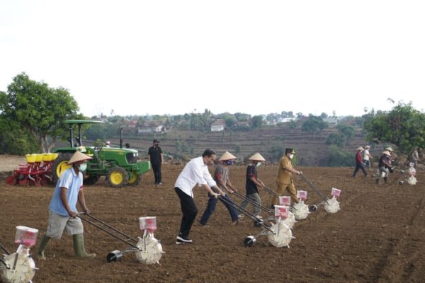 Plt Gubernur Andi Sudirman Harap Produksi Jagung Sulsel Topang Kebutuhan Nasional