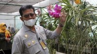 Lepas 50 Ribu Hibah Benih Sumber, Kementan Dorong Industri Florikultura Berorientasi Ekspor