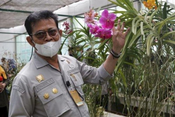 Lepas 50 Ribu Hibah Benih Sumber, Kementan Dorong Industri Florikultura Berorientasi Ekspor