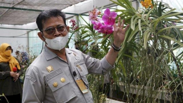 Lepas 50 Ribu Hibah Benih Sumber, Kementan Dorong Industri Florikultura Berorientasi Ekspor