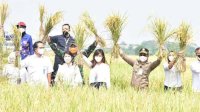 Sidak Pertanian di Serang, Mentan SYL Inspeksi Sawah dan Salurkan KUR