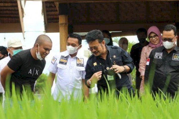 Kementan Siap Gelar Pelatihan Bagi Petani dan Penyuluh untuk Tingkatkan Produktivitas Pertanian 