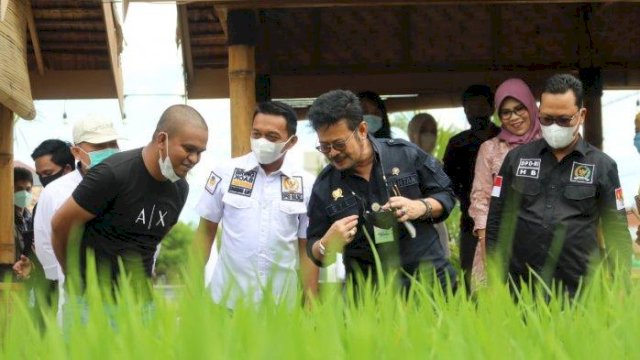 Kementan Siap Gelar Pelatihan Bagi Petani dan Penyuluh untuk Tingkatkan Produktivitas Pertanian&nbsp;