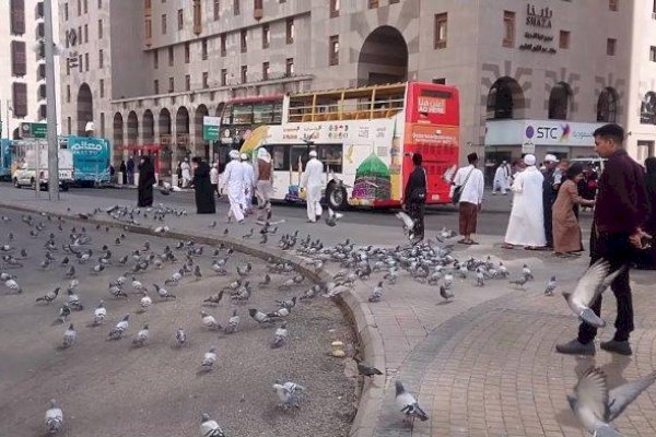 Alhamdulilah! Arab Saudi Izinkan Masuk Pendatang dari Indonesia Mulai 1 Desember