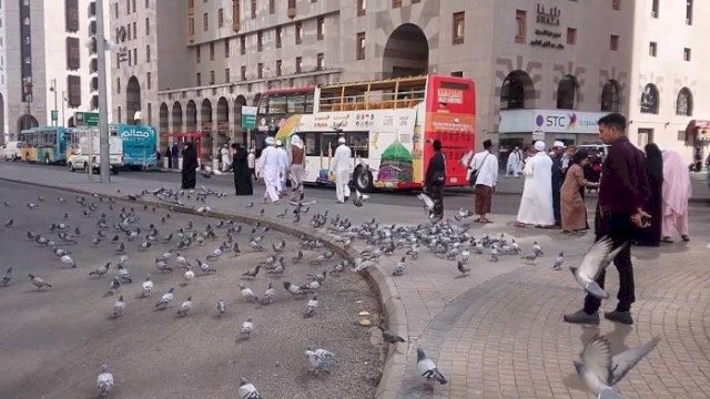 Alhamdulilah! Arab Saudi Izinkan Masuk Pendatang dari Indonesia Mulai 1 Desember