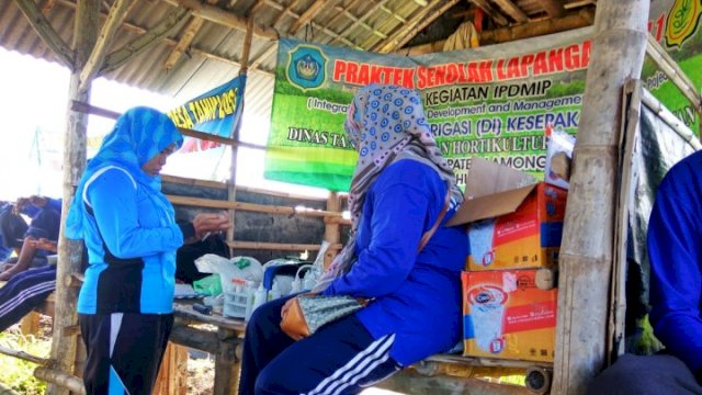 Banyak Pengetahuan dalam Sekolah Lapang IPDMIP Demi Produktivitas Pertanian 