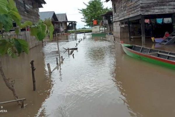 Ratusan Rumah Terendam Banjir di Sidrap Sulsel