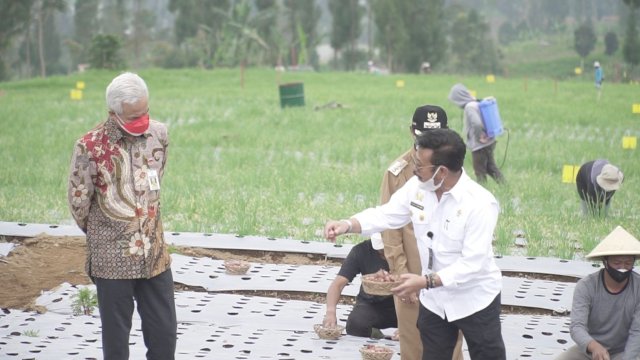 Mentan Syahrul-Gubernur Ganjar Kompak Tanam Bawang di Temanggung Dampingi Presiden