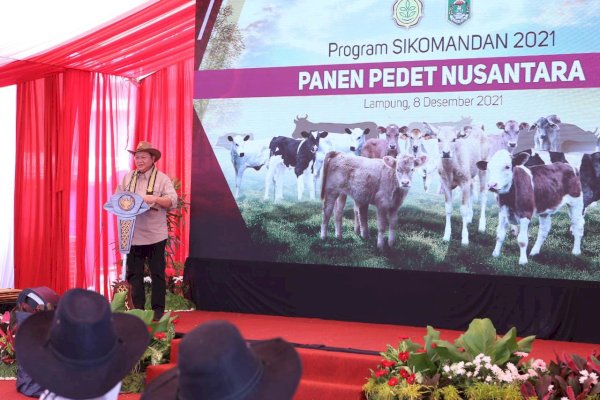 Ketua Komisi IV DPR RI Bangga Kementan Panen Pedet