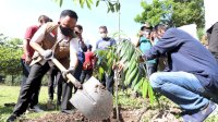 Bentuk Penanganan Banjir Jangka Panjang, Pemkab Bantaeng Ajak Ormas Tanam Pohon