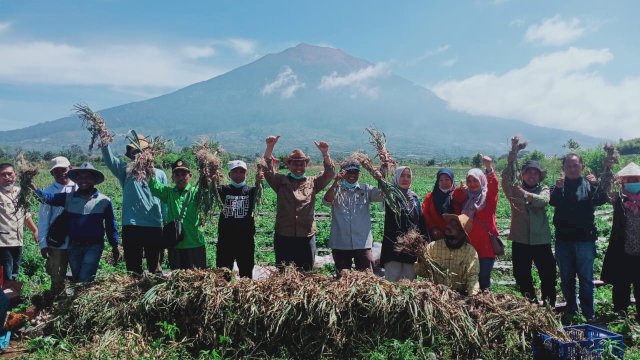 Produksi bawang putih lokal dalam negeri secara bertahap sudah mulai mengisi pasar meski masih dalam jumlah yang terbatas. 