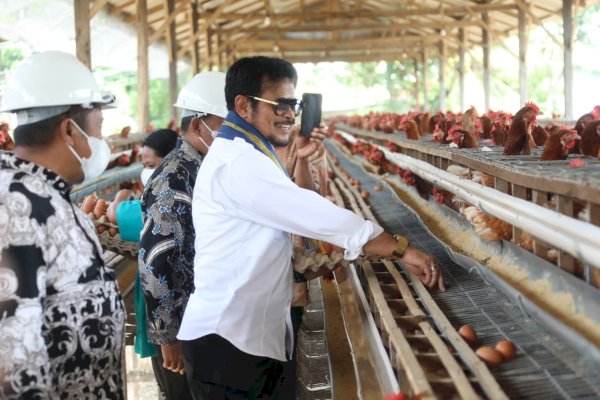 Resmikan Pabrik Pakan di Sidrap, Mentan SYL Dorong Ekosistem Budi Daya dan Usaha Menguntungkan