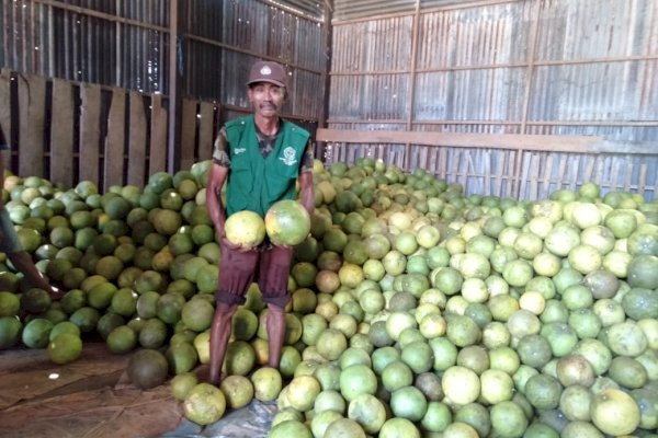 Kabupaten Pangkep jadi Percontohan Kampung Reforma Agraria Jeruk Besar