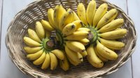 Harus Tahu, Ini Plus Minus Sarapan Buah Pisang