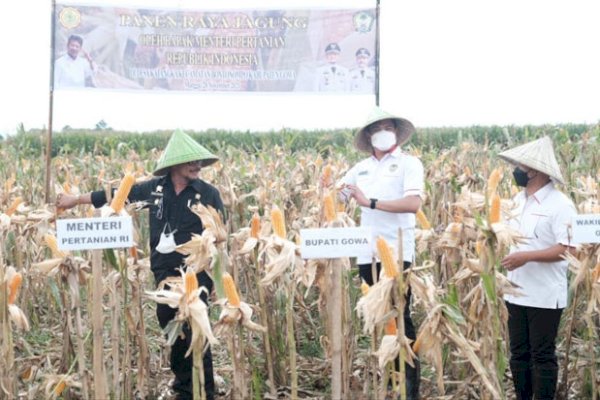 Di Gowa Sulsel, Mentan Syahrul Optimalisasi Ketersediaan Jagung Nasional