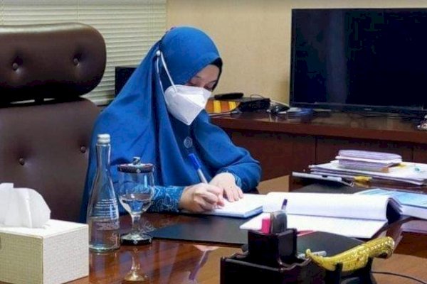 Naoemi Octarina Buka Webinar Sosialisasi RBM dan Kader Posyandu di Maros Sulsel