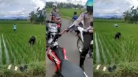 Ini Cerita Video Viral Pengendara Motor Tak Pakai Helm Pura-pura Garap Sawah Saat Bertemu Polantas