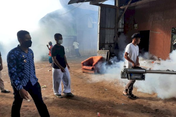 Ingin Terhindar dari DBD, Ini Tips Sederhana Dinkes Bantaeng Sulsel