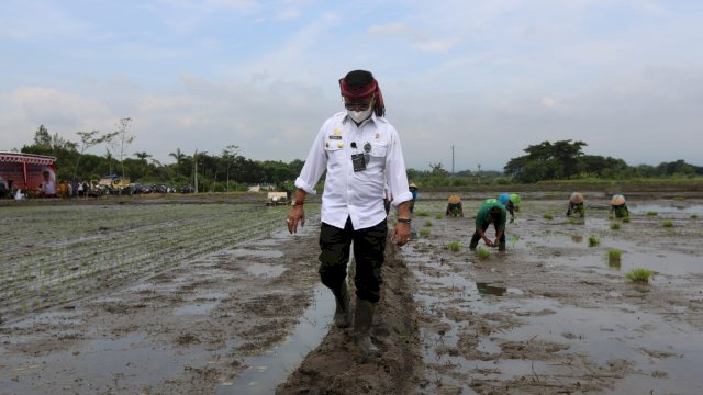 Mentan SYL di Tahun 2022 Genjot Produksi Padi Lewat Percepatan Tanam dan IP 400.(F-Humas)