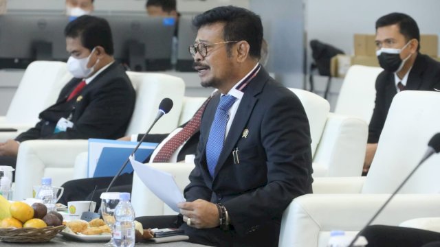 Mentan Syahrul Yasin Limpo Paparkan Inovasi Kunci Hadapi Perubahan Iklim di Pertemuan D-8.