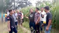Kabur ke Kebun Jagung, Pengemudi Mobil yang Seret Polisi di Jeneponto ke Atas Kap Mesin Mobil Ditangkap
