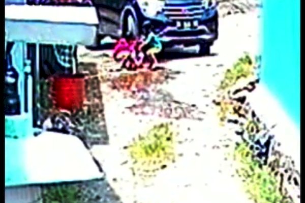 Ngeri! Dua Bocah di Makassar Dilindas Mobil Lagi Asyik Bermain, 1 Tewas